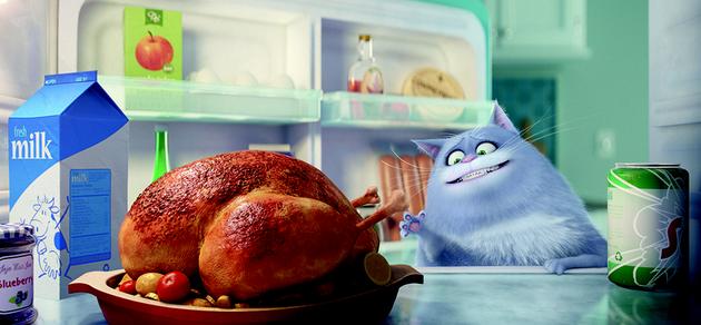 《爱宠大机密》冰冰特辑 喵星人实力傲娇|冰冰|爱宠大机密|猫咪_新浪