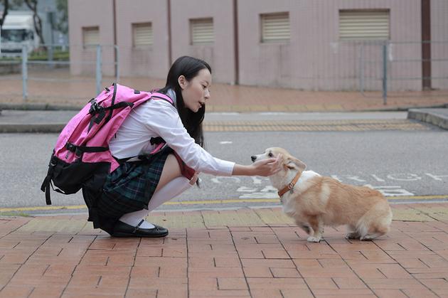 《一条叫王子的狗》女主钟佳琪惹人注目