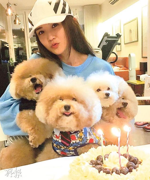 阿Sa抱着4只爱犬在蛋糕前拍照，其中3只在中秋节生日。