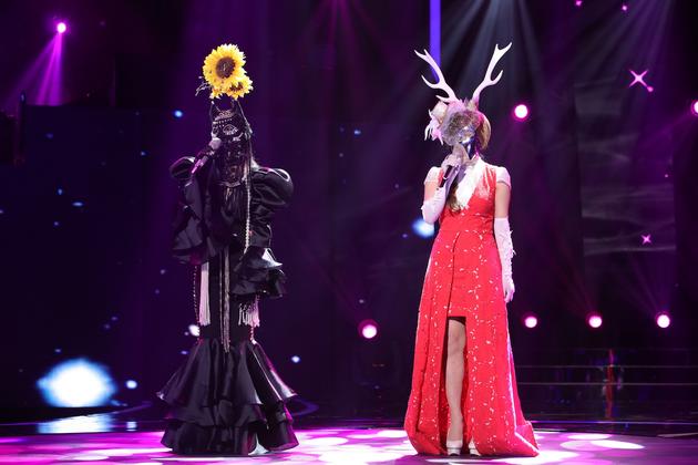 嗑着瓜子的猫+圣诞老人不在家的驯鹿