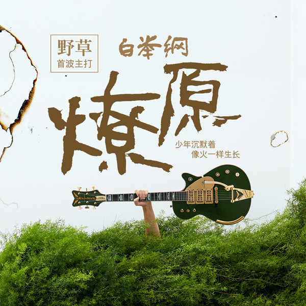 白举纲新专辑野草之燎原主题