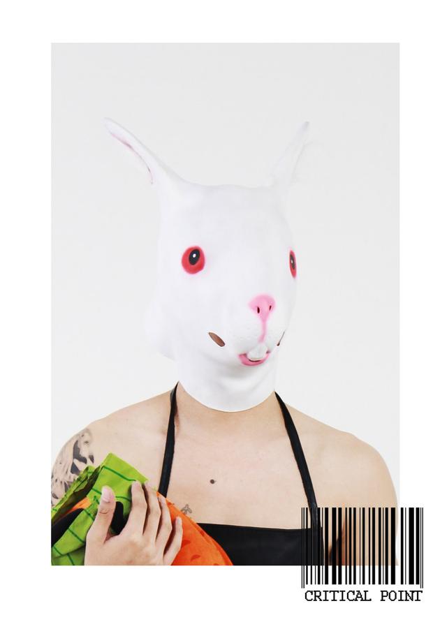 吉他手李智动物造型