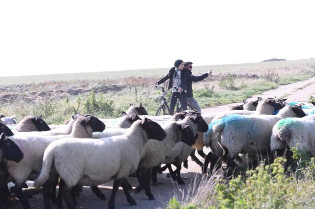 张曼玉载谢霆锋