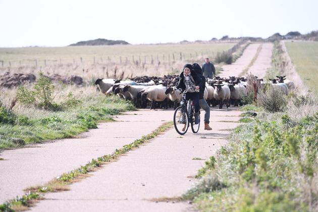 张曼玉谢霆锋重现《甜蜜蜜》镜头