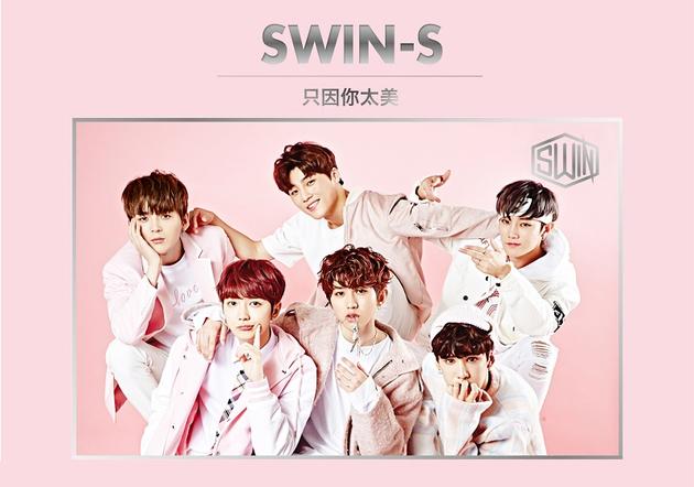 swin-s《只因你太美》单曲封面照