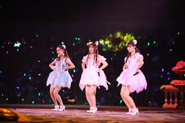 张怡 费沁源 姜杉