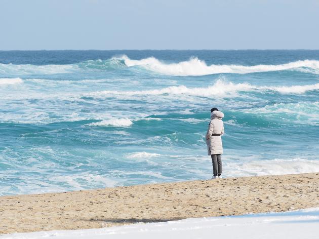 《蓝色大海的传说》