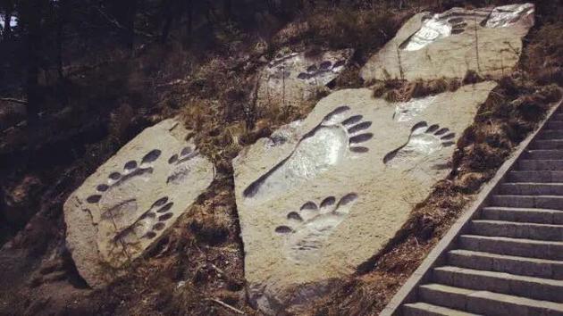 《大脚印》下周公映 探寻神农架野人谜相