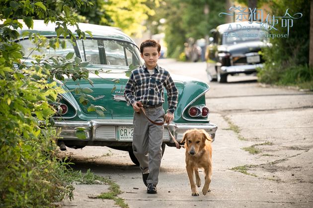 幕后花絮当年是不是被《忠犬八公的故事》给虐得用完了好几包纸巾?