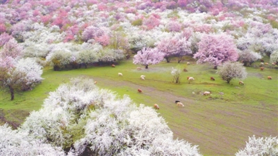 《航拍中国》里新疆景色