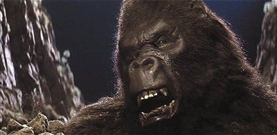 1986年库珀改任编剧,约翰·吉勒明导演了《金刚复活》.