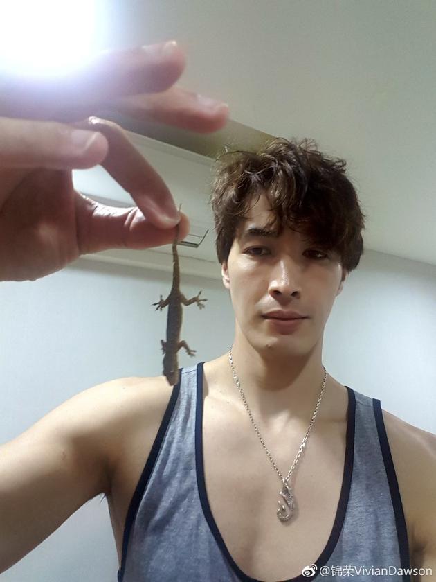 锦荣手抓壁虎一脸轻松网友与蔡依林分手因为这