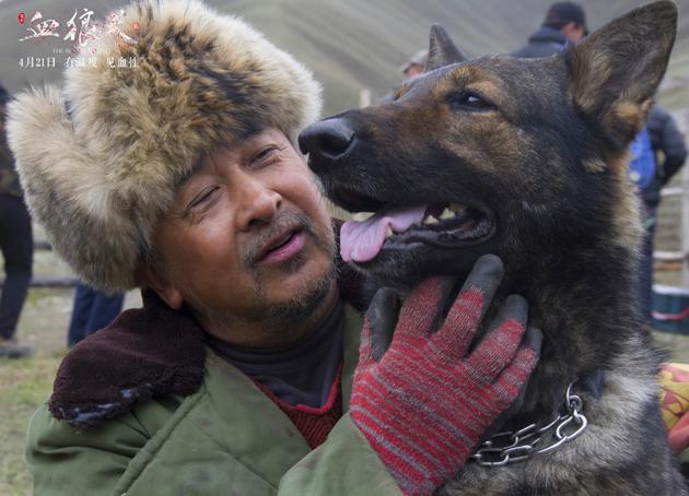 《血狼犬》与狗拍戏几度涉险 狗产崽镜头现大银幕