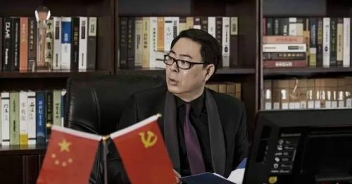 演员高亚麟的公司参与投资了《人民的名义》