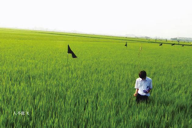 青春电影手册明信片