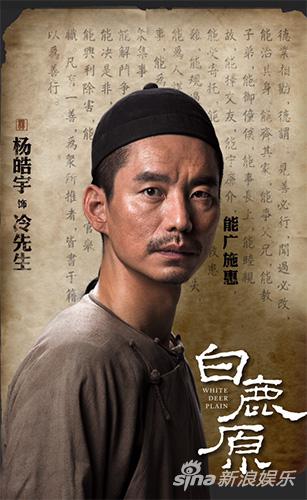 由刘进执导,张嘉译,何冰,秦海璐[微博,杨皓宇等演员倾力出演的电视剧