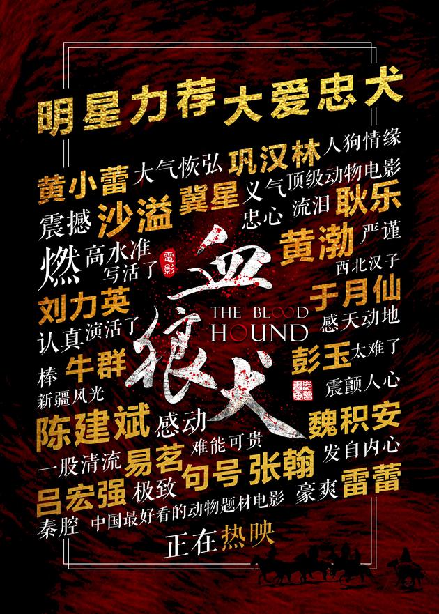 动物题材电影不容错过