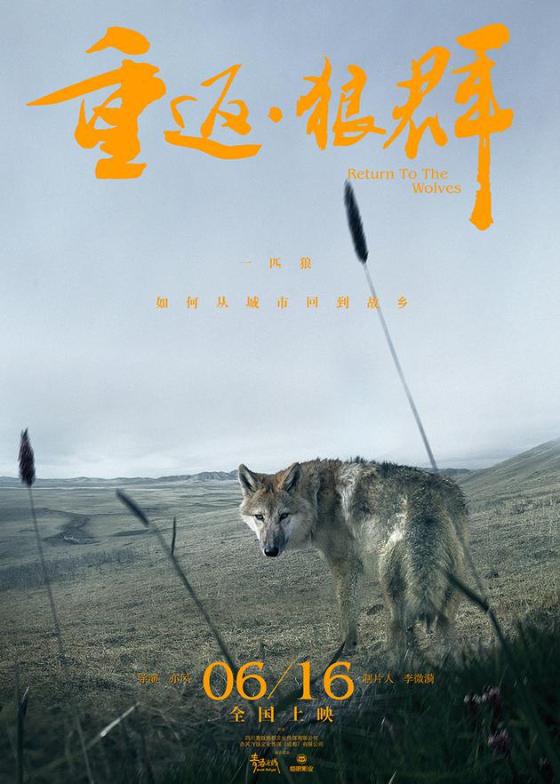 《重返狼群》定档海报