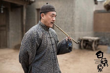 何冰《白鹿原》