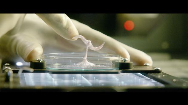 外星生物伸出触角“友好”互动宇航员