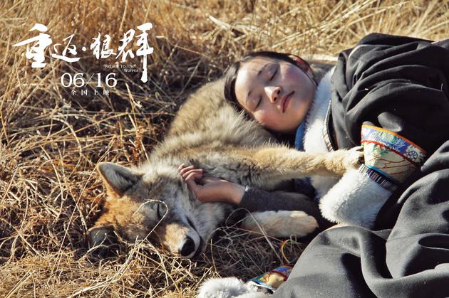 《重返·狼群》李微漪与格林在草原睡觉