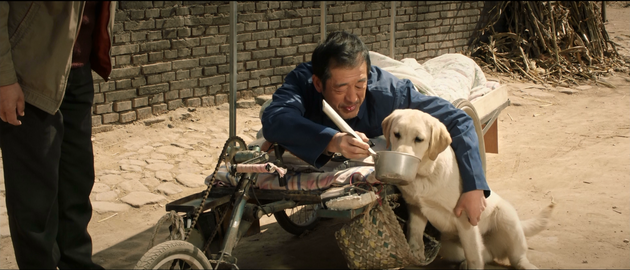 忠爱无言发布终极预告忠犬千里磨难苦寻主人