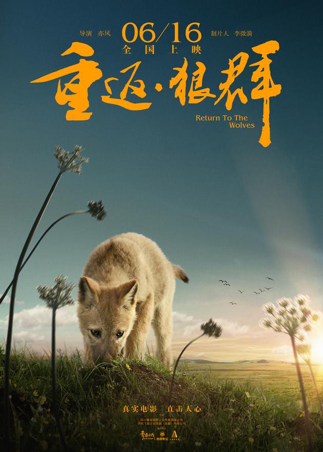 《重返狼群》终极海报 小狼版