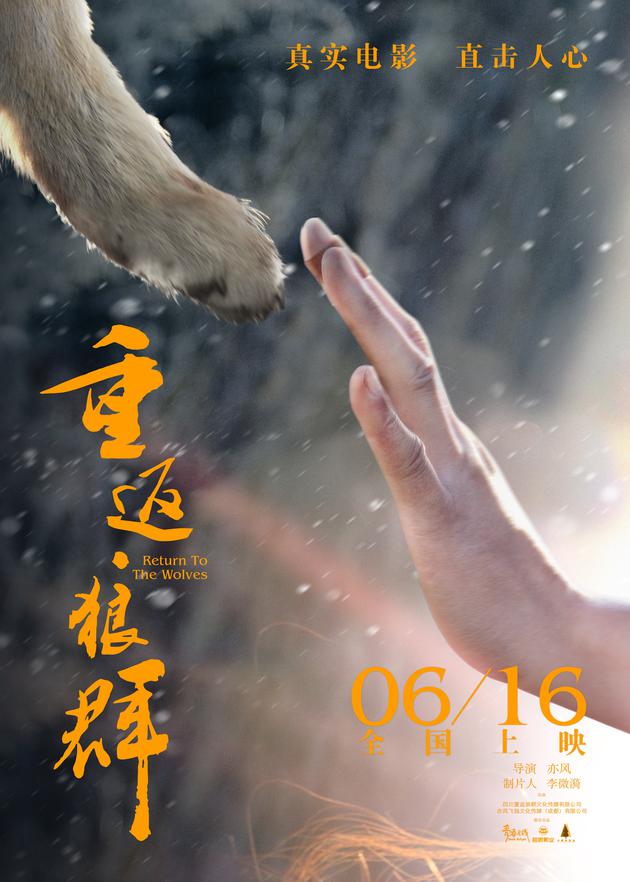 《重返狼群》终极海报 心手相连版