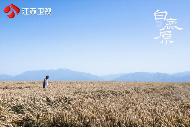 土地是白嘉轩的命根子