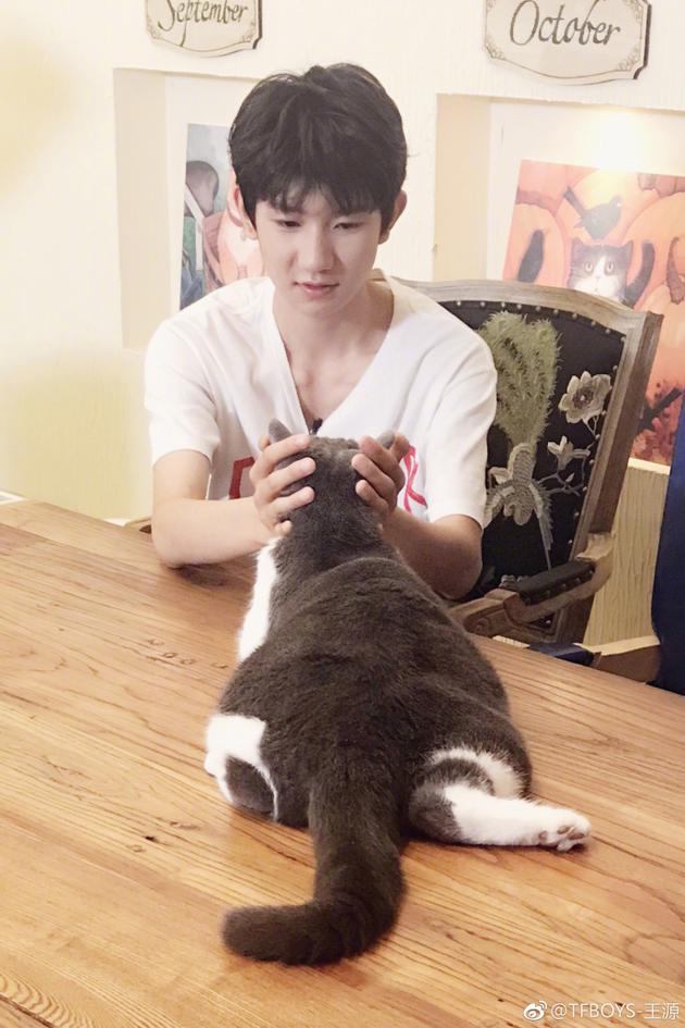 王源宠溺撸猫根本停不下来_手机新浪网