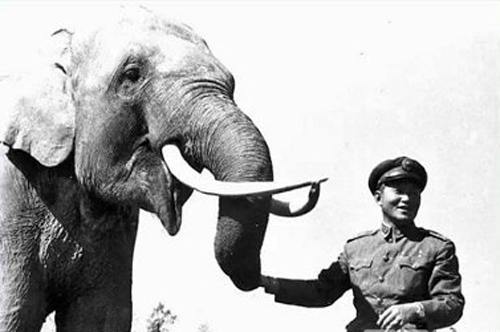 动画《大象林旺之一炮成名》定档8月4日