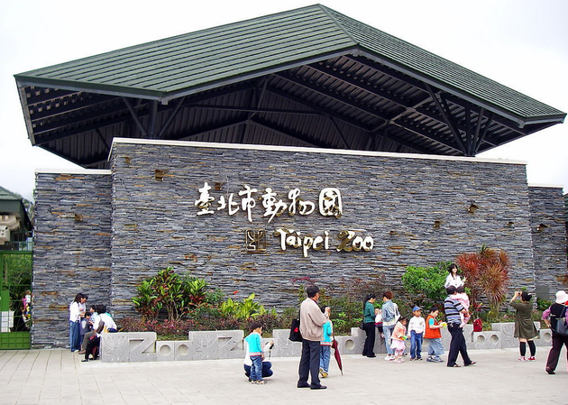 动画《大象林旺之一炮成名》定档8月4日