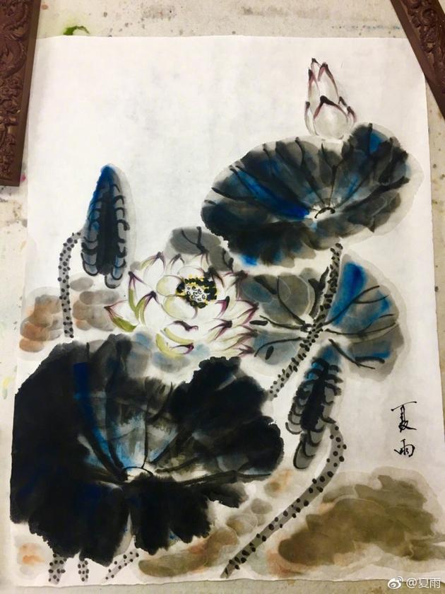 被演艺事业耽误的画家 夏雨作画朵朵荷花跃然纸上