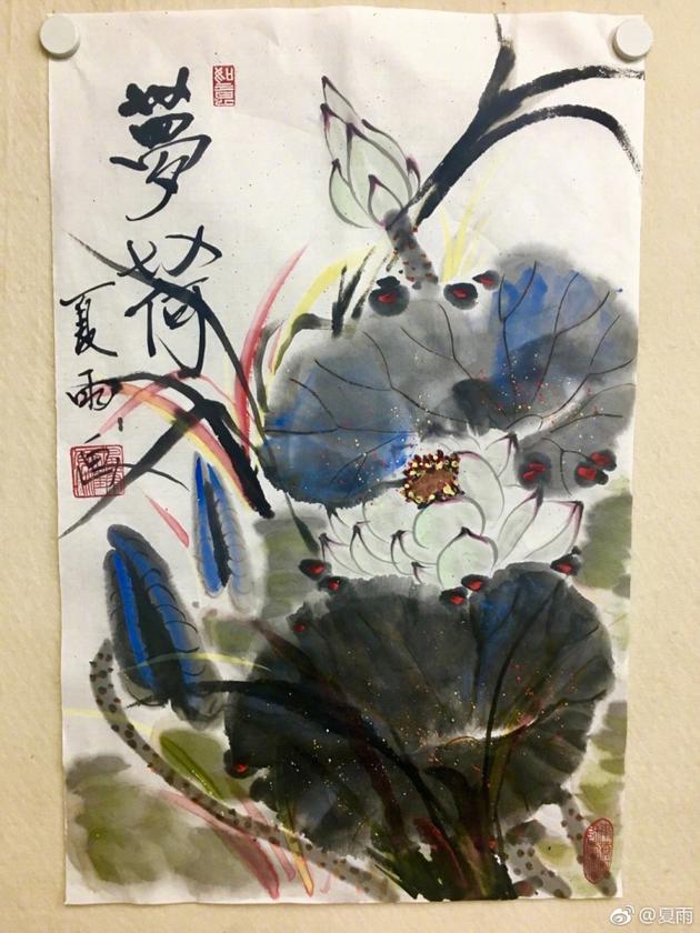 被演艺事业耽误的画家 夏雨作画朵朵荷花跃然纸上