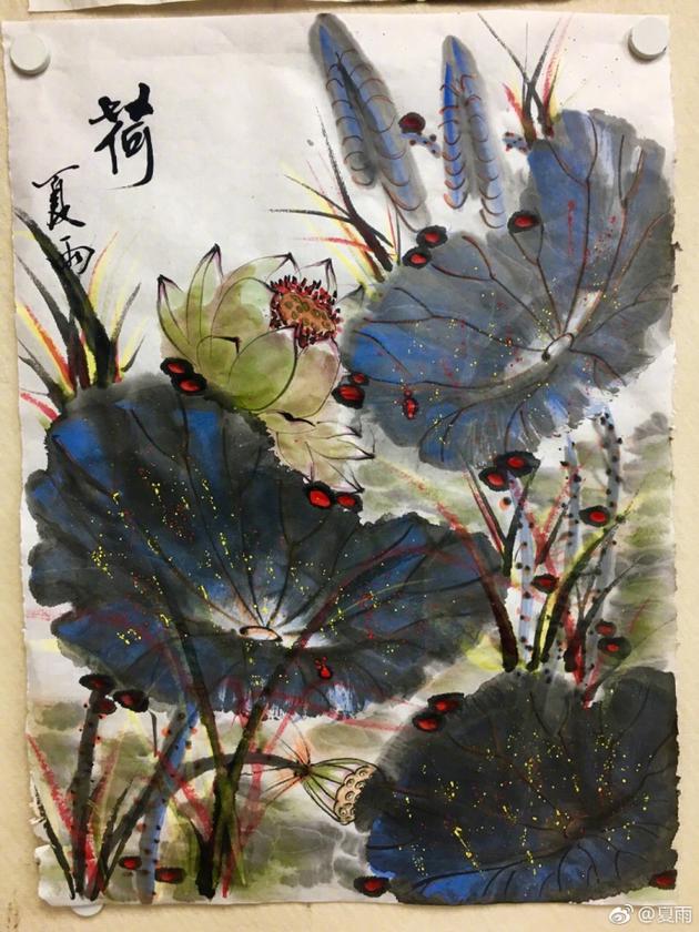 被演艺事业耽误的画家 夏雨作画朵朵荷花跃然纸上