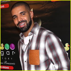 公鸭德雷克很有可能在hulu热播剧《使女的故事》第二季中客串出场