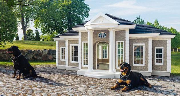 英国别墅级狗屋标价149万元自带投食和温控系统