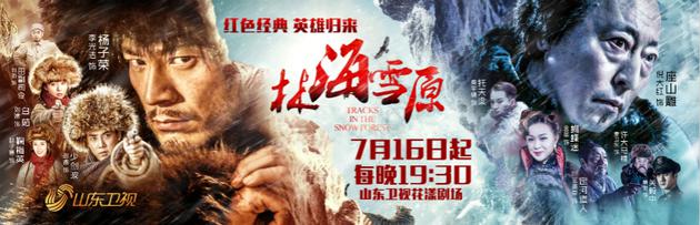 林海雪原 卫视海报