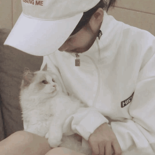 鞠婧祎抱猫的头像图片