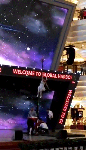 19岁女孩表演空中芭蕾突坠落