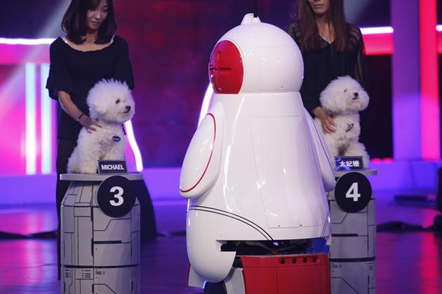 机器人小加识别狗狗