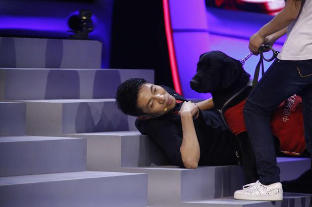 撒贝宁“引诱”导盲犬