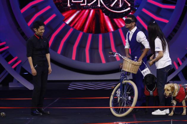 撒贝尼与导盲犬