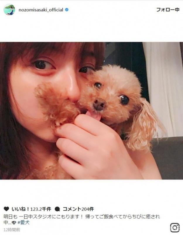 佐佐木希与爱犬合影