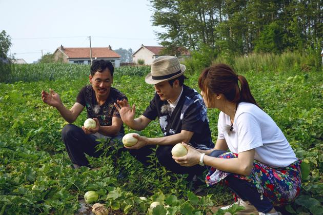李玉刚与悦悦在地里摘瓜