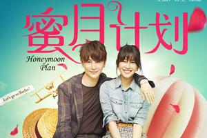 2《蜜月计划》海报