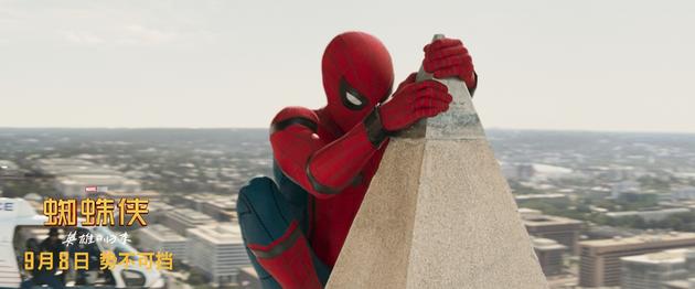 小蜘蛛登临高点蓄势待发