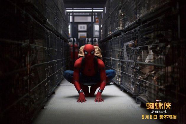 小蜘蛛背书包勘察险境