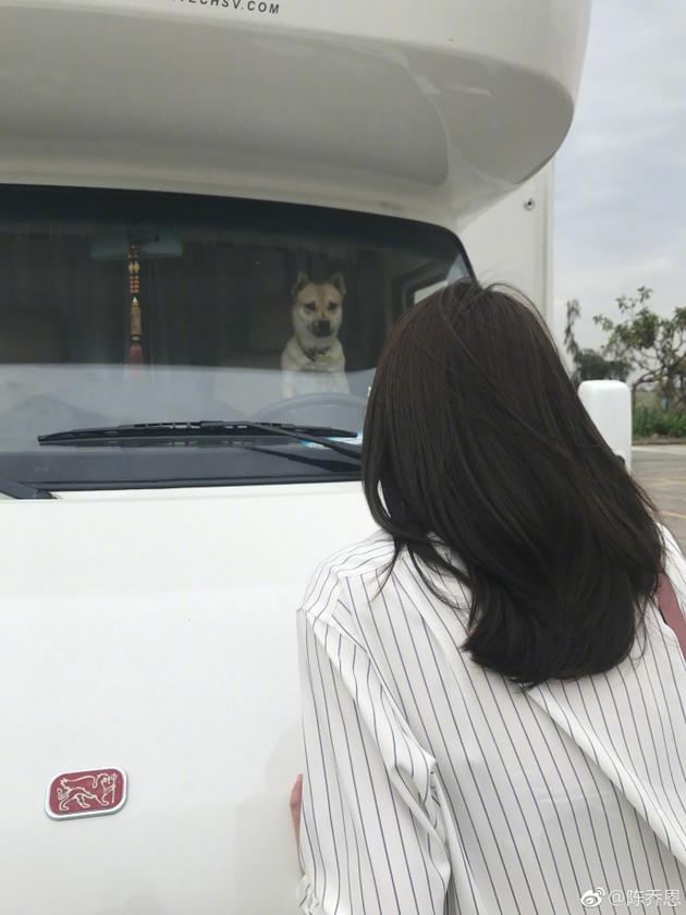 爱犬来福在片场与陈乔恩对望。