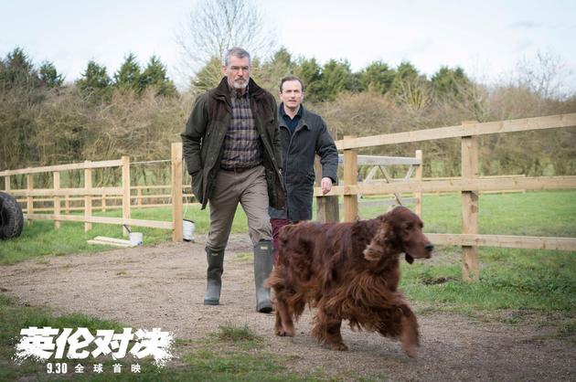 布鲁斯南农场散步